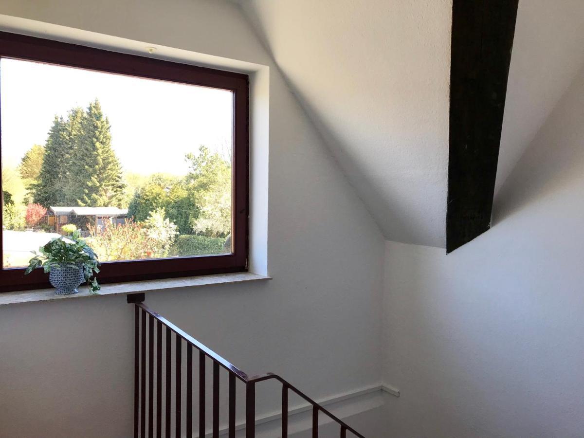 Mal Steinbock _ Ferienwohnung Anni Malente Buitenkant foto