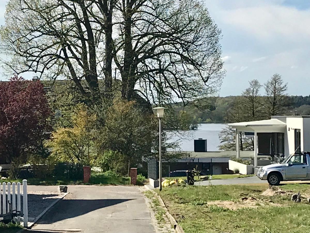 Mal Steinbock _ Ferienwohnung Anni Malente Buitenkant foto